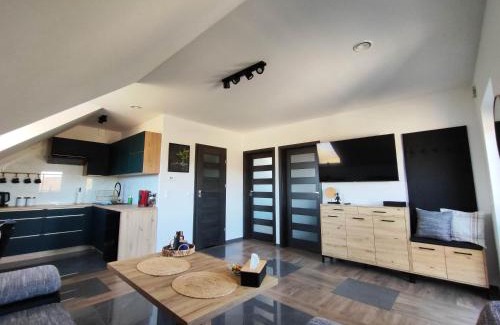 Lesko Apartment | Apartament Widokówka