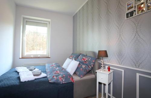 Szczawno-Zdroj Apartment | Top-Rated Pet Friendly Apartment Winston for Your Getaway
