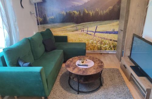 Czarna Apartment | Family-Friendly Stay at Apartament Wrzos Bieszczady