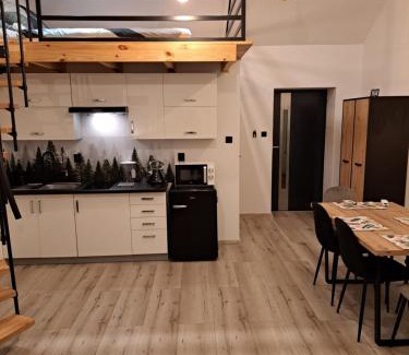Mikoszewo Apartment | Stunning Ocean View Apartment with Loft - Guest Rated 10/10