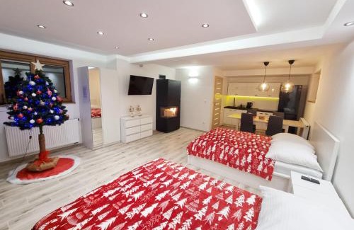 Frydman Apartment | Discover Pet-Friendly Apartments in Poland with Top Ratings