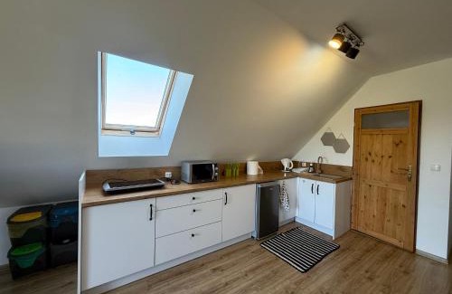 Miłki Apartment | Apartament z tarasem i widokiem na las
