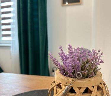 Tomaszow Mazowiecki Apartment | Highly Rated Apartament Zielony Kołłątaja Awaits You