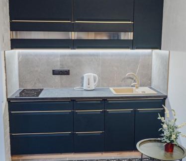 Birzai Apartment | Modern Apartment in Biržuose with Kitchen for 4 Guests
