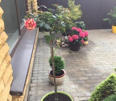 Kaunas Apartment | Discover Apartamentai Fortuna: 4-Star Haven with 9.6 Rating