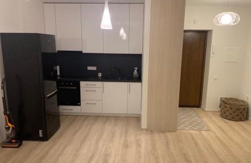 Klaipeda Apartment | Budget-Friendly Family Retreat at Apartamentai Ragainės g. 6