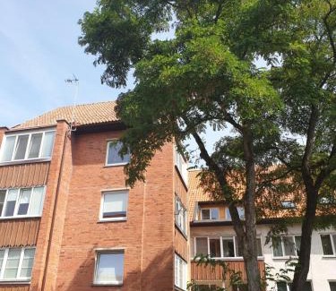 Nida Apartment | Pet-Friendly Retreat at Apartamentai Taikos 10-36 Nida