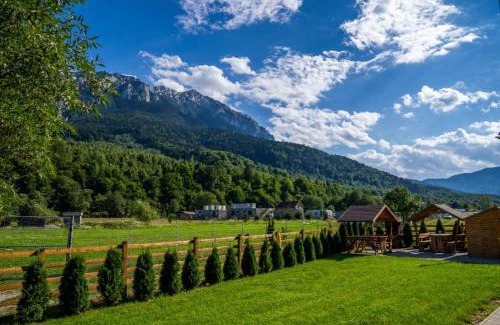 Zarnesti Cabin | Top-Rated Apartamente Creasta Craiului with Breakfast