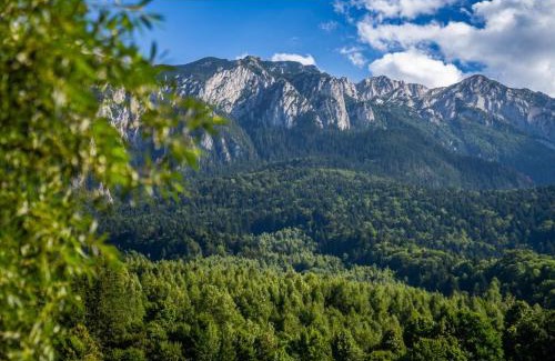 Zarnesti Cabin | Top-Rated Apartamente Creasta Craiului with Breakfast