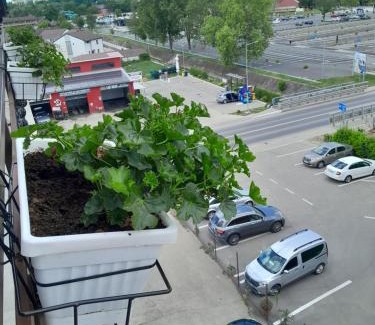 Baile Unu Mai Apartment | Family-Friendly Stay at Apartamente9 Aurelia Baile Felix