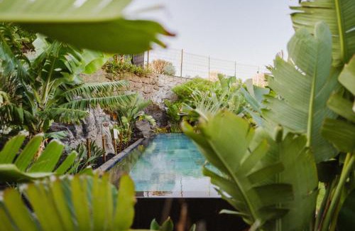 San Miguel de Abona Apartment | Relaxing Apartment 131: Pool, Views & Pet-Friendly Stay