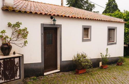 Veiros Apartment | Cozy Apartment 1 - Pet and Child Friendly at Veiros