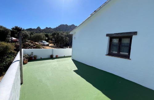 Betis Apartment | Apartamento Bolonia