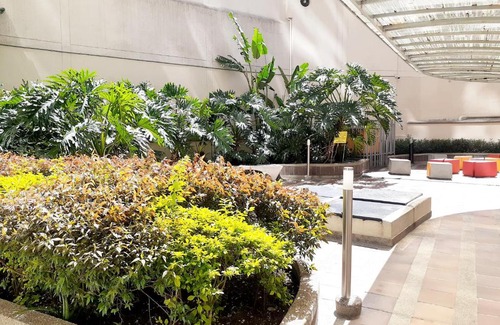 Villa Nueva Apartment | Pet-Friendly Apartment in Central Medellín - Ideal for Families