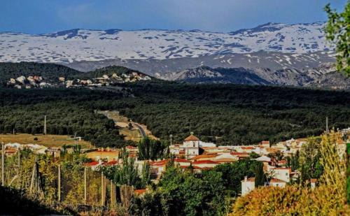 La Zubia Apartment | Charming Apartment in Granada, La Zubia - Rated 9.5/10