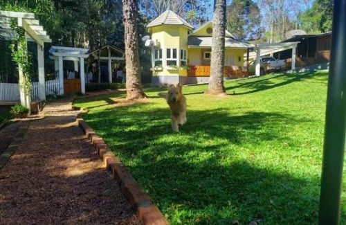 Gramado Apartment | Pet-Friendly Apartments in Brazil - Rated 10/10 by Guests