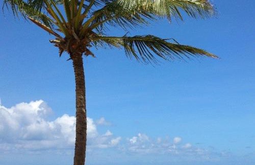 Piedade Apartment | Pet-Friendly Oceanfront Apartment - Ed Jatiuca, 10/10 Rated