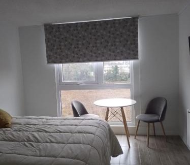Valdivia Apartment | Apartamento en Valdivia Isla Teja
