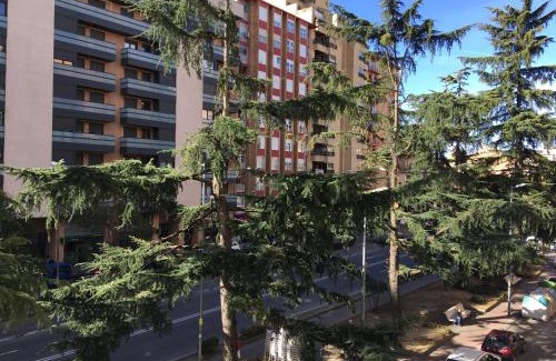 Barrio de Santo Domingo y San Martin Apartment | Pet-Friendly Retreat: Apartamento Huesca on Paseo Ramón y Cajal