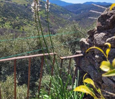 Miranda del Castanar Apartment | Pet-Friendly Apartment La Muralla with Great Guest Rating