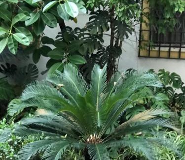 San Miguel-Capuchinos Apartment | Family-Friendly Stay at Apartamento de las Doblas, 4-Star Rated