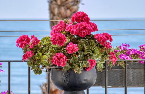 Villajoyosa Apartment | Oceanfront Apartment Las Flores - Great Review Score 8.5