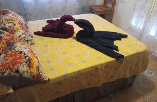 El Moncayo Apartment | Oceanfront Apartment Maite: Rated 9.2/10 & Pet Friendly