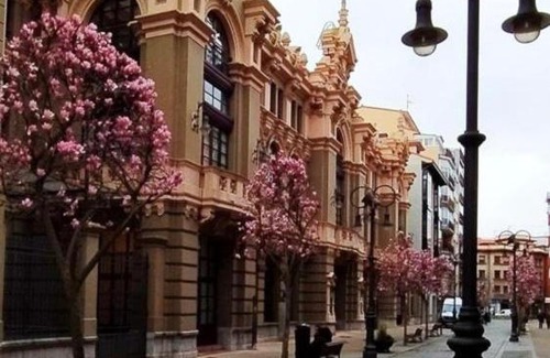 Aviles Apartment | Top-Rated Palacio Valdés Apartment in Central Avilés