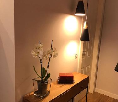Aviles Apartment | Top-Rated Palacio Valdés Apartment in Central Avilés