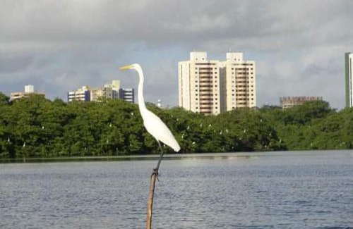 Coroa do Meio Apartment | Relaxing Apartment for Rent in Aracaju - Pet Friendly & Pool