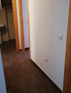 Alcantarilla Apartment | Discover Pet-Friendly Comfort at Apartamento Reina