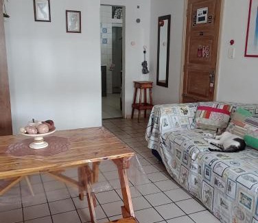 Canela Apartment | Cozy One-Bedroom Apartment in Canela, Salvador-BA
