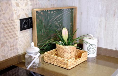 El Ejido Apartment | Vintage Apartment in the Heart of Málaga - Pet Friendly Stay