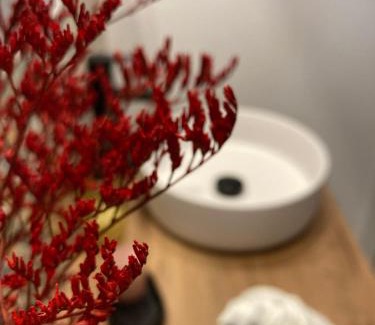 Corella Apartment | Accessible Comfort at Apartamentos Abadía - Rated 9.4/10