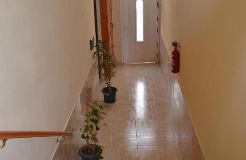 Arure Apartment | Cozy Apartamentos Arure Plaza: Pet-Friendly with Breakfast