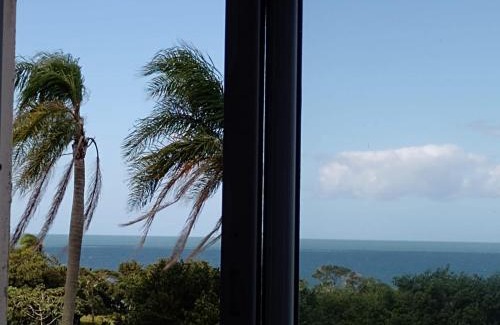 Vila Nova Apartment | Beachfront Apartments with Pool & Pet-Friendly Options