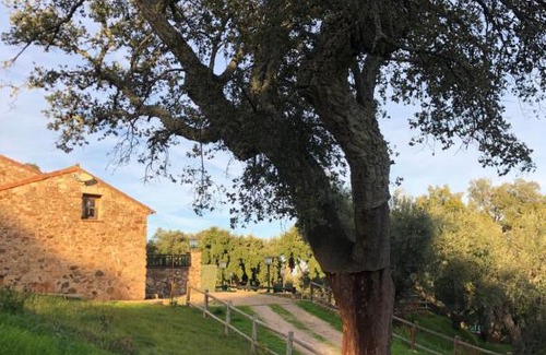 Valencia de Alcantara Apartment | Pet-Friendly Retreat at Apartamentos Rurales La Macera
