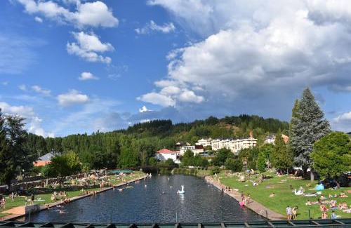 Fontoria Apartment | Family-Friendly Stay at Apartamentos Picea Azul - 9.6/10 Rating