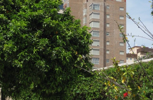 Campanar Apartment | Discover Comfort at Apartamentos Plaza Picasso with Spa & More