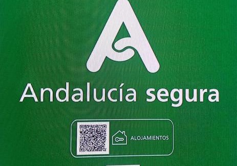 Cuevas del Campo Apartment | Relaxing Oceanfront Stay at Apartamentos Rurales Mirador