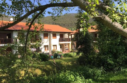Pesues Apartment | Pet-Friendly Oceanfront Apartments at La Fuente - Rated 9/10