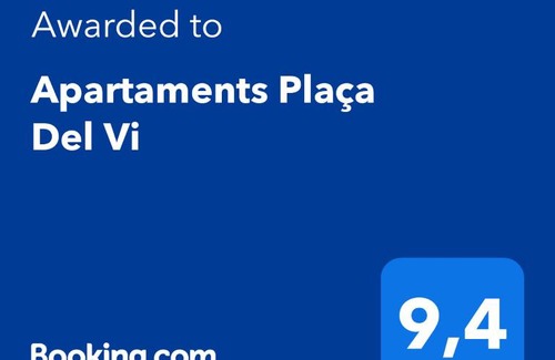 Old Town Apartment | Exceptional Stay at Apartaments Plaça Del Vi - 4 Star Experience