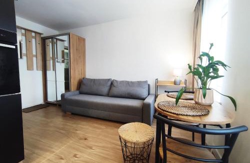 Szczawno-Zdroj House | Discover Apartamenty Anka: Family-Friendly in Szczawno Zdrój