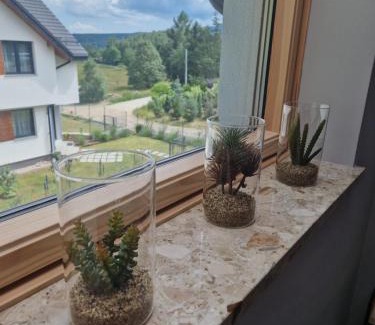 Polanica-Zdroj Apartment | Apartamenty Bursztynowa