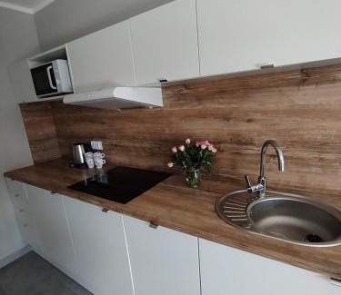 Dlugie Apartment | Relaxing Lakefront Apartments with Family and Pet Friendly Amenities