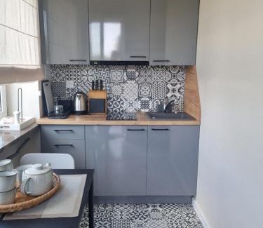 Busko-Zdroj Apartment | Pet-Friendly Apartamenty przy Tężni with Hot Tub & Fireplace