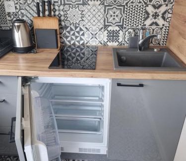 Busko-Zdroj Apartment | Pet-Friendly Apartamenty przy Tężni with Hot Tub & Fireplace