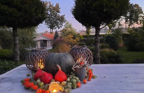 Olecko Apartment | Pet-Friendly Apartamenty Sielanka: Guest Rated 9.8/10
