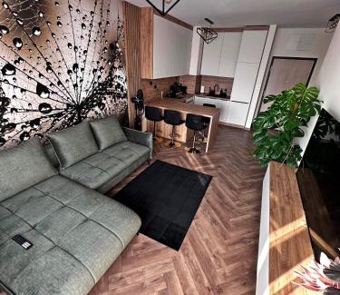 Uniejow Apartment | Apartamenty Termal Water Długa 31
