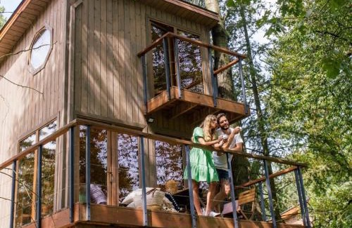 Zator Resort | Dreamy Apartment Amidst Trees with Oceanfront Views